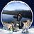 Tiffany Decouto's profile image