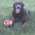 Stephanie Nemet Atkins's profile image