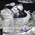Gina Spitzengel's profile image