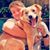 Bill Irwin's profile image