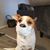 Michele Lorenz's profile image
