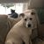 Cindy Thayer Scoville's profile image