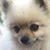 Rochelle Redetzke's profile image