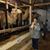 Bridget Bradbrook's profile image