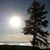 Dianne Lukash Ray's profile image