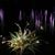 Jane Hamill's profile image
