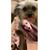 Sara McRay's profile image