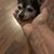 Margaret G Somers's profile image
