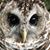 Jason Johns's profile image