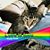 Tracy Spacy's profile image