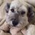 Anita Smith Leshnack's profile image