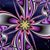 Susan Harvey's profile image