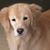 Kathi Lyden's profile image