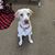 Conny Heyman-Pulver's profile image