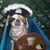 Debbie Meerbott's profile image