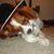 Beth Brindley Adams's profile image