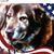 Susan Delatorrerodgers's profile image
