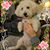 Tracy Powers KhanBradie's profile image