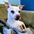 Alicia Magen's profile image