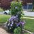 Beth Heffelfinger Lesniak's profile image