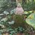 Barbara Ford's profile image
