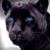 Brad Hegler's profile image