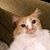 Kelly Bowen's profile image
