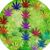 Vanessa Behrens Murray's profile image