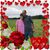 Jennifer Bachelder's profile image