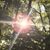 Jennifer Lavelle's profile image