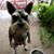 Mike Hare's profile image