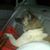 Shannon Roberson's profile image