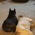 Stephanie Pratt's profile image