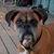 Debbie LeNoir Baker's profile image