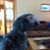 Cathy True's profile image