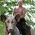 Scott Korab's profile image