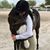 Kelly Maier's profile image