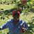 Ernest Green's profile image