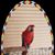 Betsy Pisano's profile image