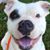 Jill Collins Towery's profile image