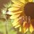 Kelly Stearns's profile image