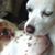 Jeri Segovia's profile image