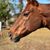 Dana Malieswski Bailey's profile image