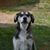 Frank Benish's profile image