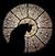 Jane Dusek's profile image