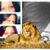 Letap Fiona's profile image