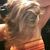 Krista Merschrod's profile image