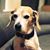Candace Taylor Brown's profile image