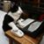 Nancy Hartley's profile image