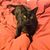 Mary Erickson's profile image